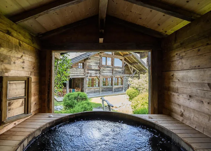 Chatel, Avec Services, Collection Des Fermes - * 梅杰夫